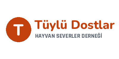 Tüylü Dostlar